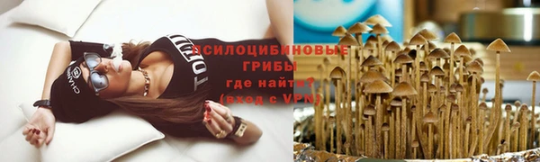 сатива Магас
