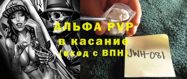 сатива Магас