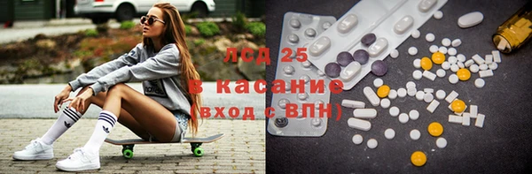 сатива Магас
