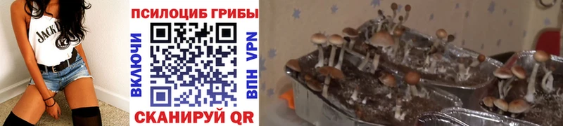 Галлюциногенные грибы прущие грибы  Солнечногорск 