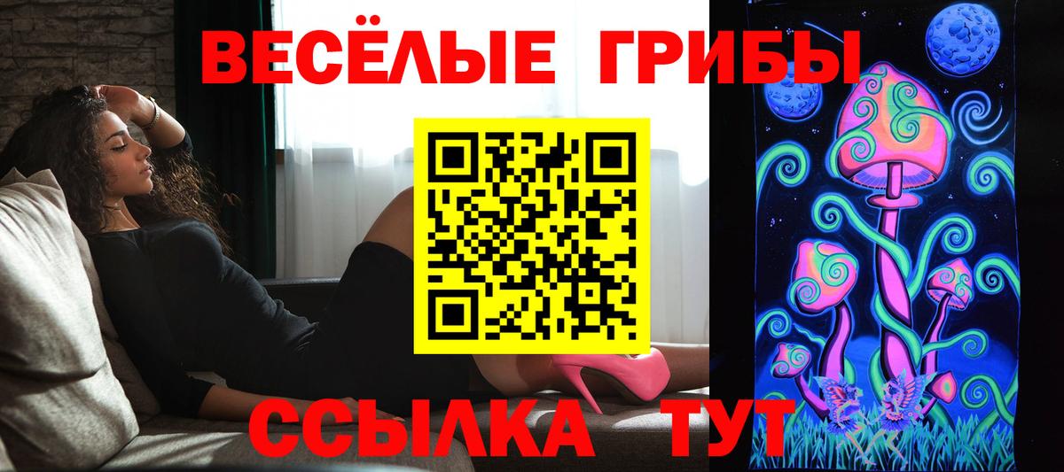 Галлюциногенные грибы GOLDEN TEACHER  Вход с VPN  Солнечногорск 