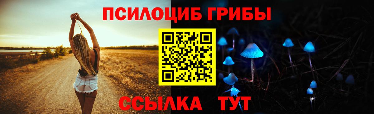 Галлюциногенные грибы мухоморы Солнечногорск